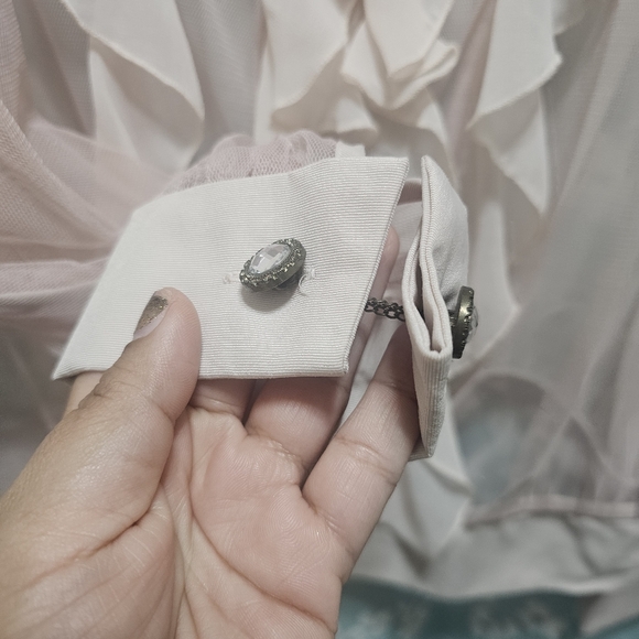 Twelve by twelve Elegant Sheer Ruffle Blouse, pale pink. size M - Picture 6 of 7